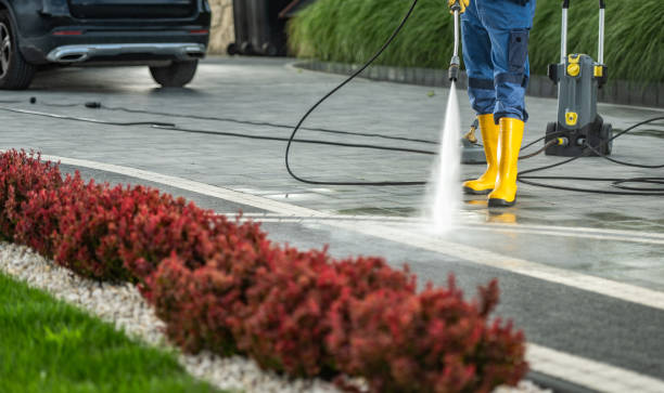 Why Choose Our Certified Pressure Washing Experts for Your Project Needs in Despard, WV?